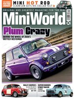 MiniWorld